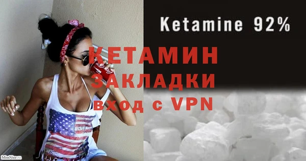 индика Осинники