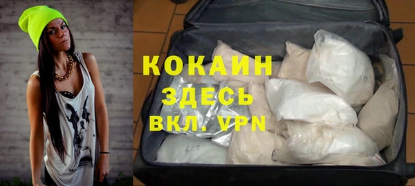 индика Осинники