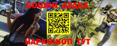 индика Жуковский