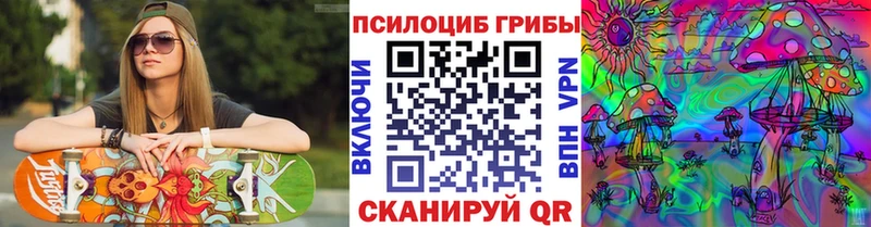 как найти закладки  Светлоград  Псилоцибиновые грибы Psilocybe 