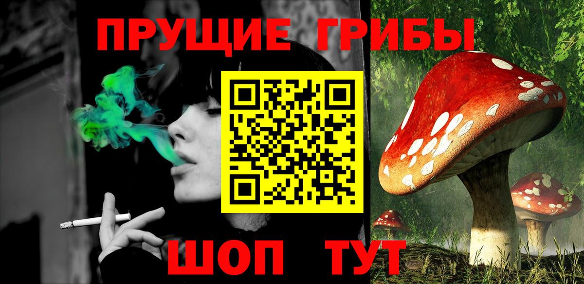 Галлюциногенные грибы Psilocybe  Светлоград  Галлюциногенные грибы MAGIC MUSHROOMS 