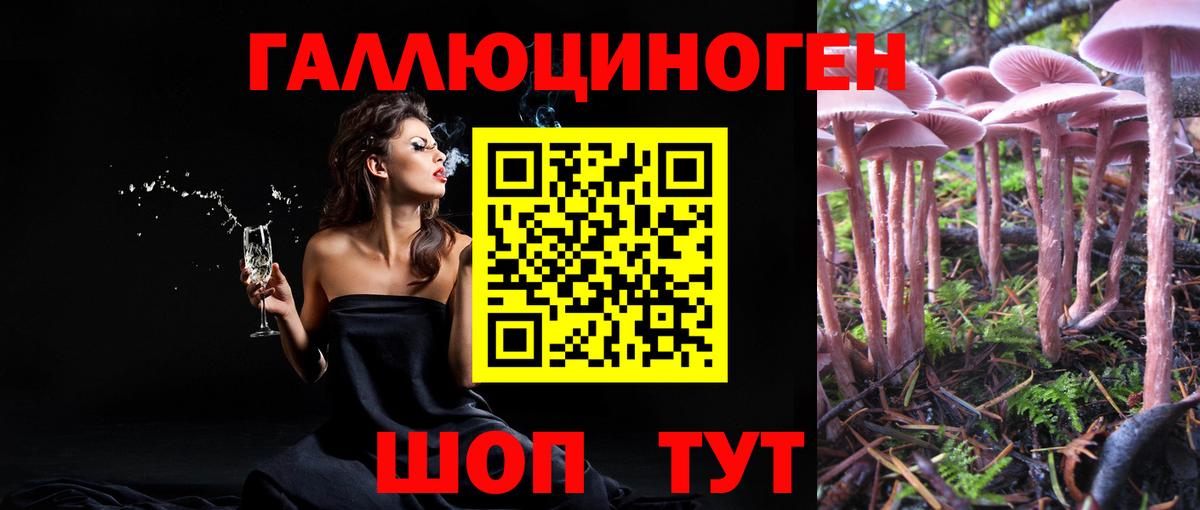 Псилоцибиновые грибы ЛСД Светлоград