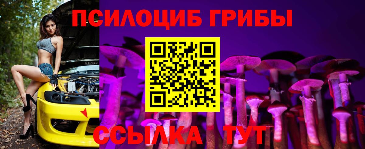 Светлоград  Галлюциногенные грибы Psilocybe  Вход с VPN 